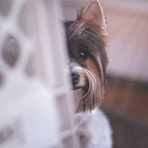 Meet your Posher, Keri